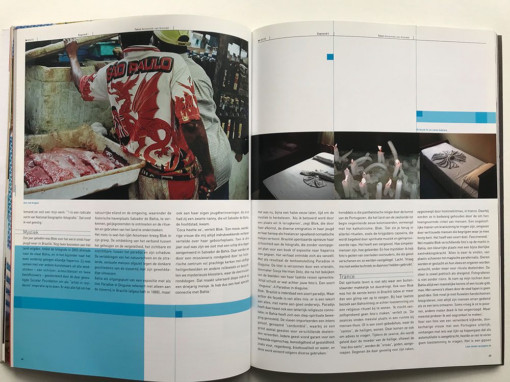 paradise in disguise_IMG_0328